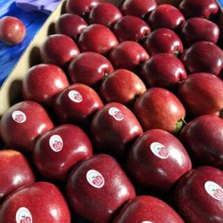 Fresh Royal Gala Apples